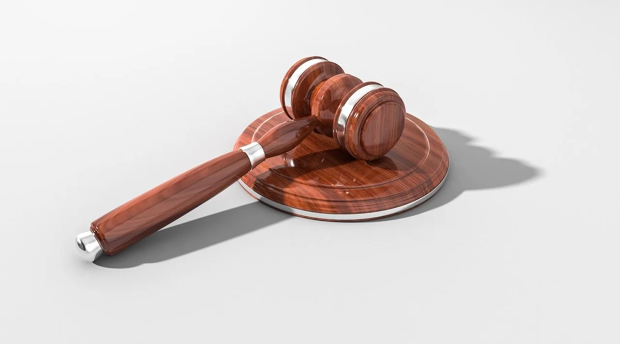 Mecanismo de control constitucional de la leyes
